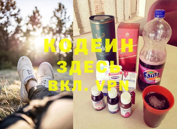 прущие грибы Наволоки