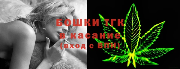 прущие грибы Наволоки