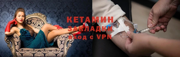 прущие грибы Наволоки