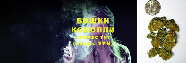 прущие грибы Наволоки