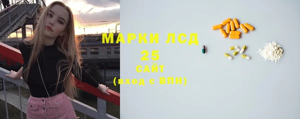 прущие грибы Наволоки