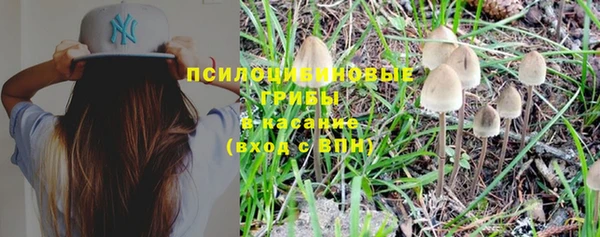 мяу мяу кристалл Надым