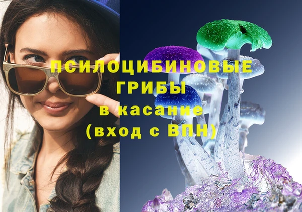 прущие грибы Наволоки