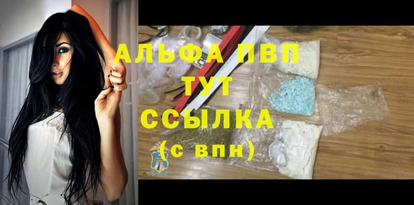прущие грибы Наволоки