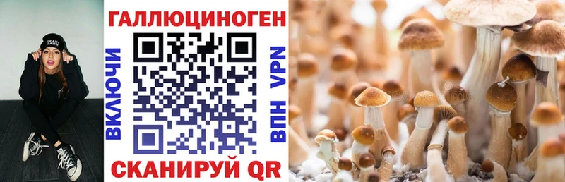 Галлюциногенные грибы GOLDEN TEACHER  darknet наркотические препараты  Барнаул  где найти  